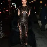 FKA twigs голая #0480