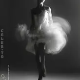 FKA twigs голая #0494