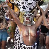 Flagras Carnaval голая #0010