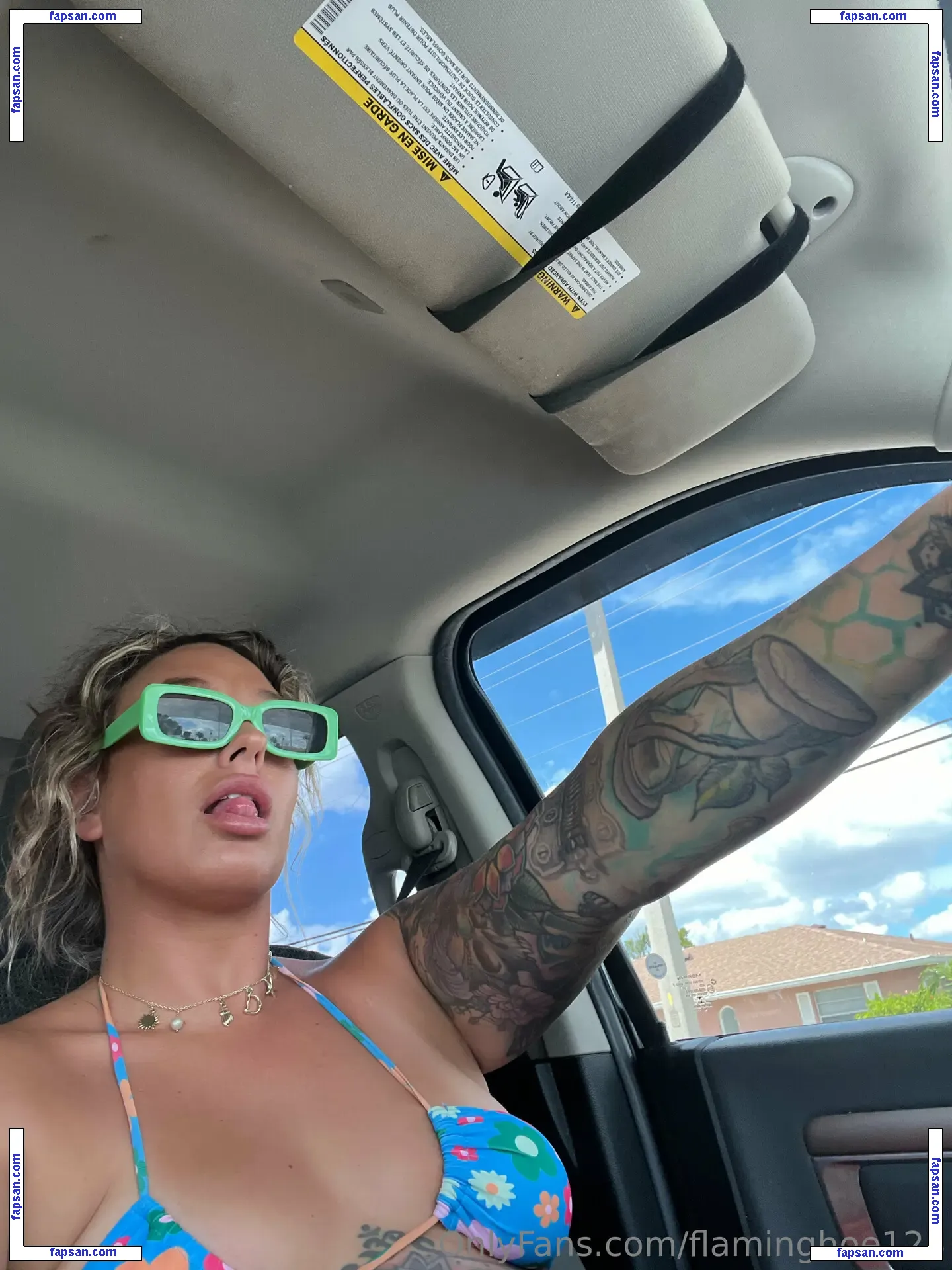 flaminghoe123 nude photo #0018 from OnlyFans