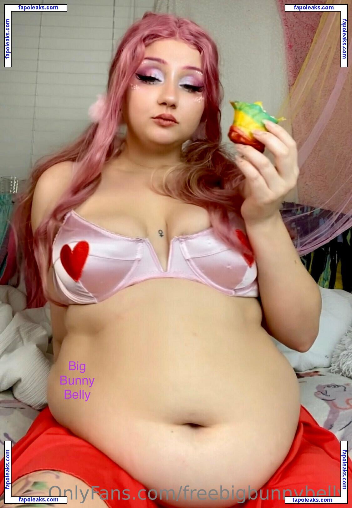 freebigbunnybelly / thebellebunny nude photo #0042 from OnlyFans