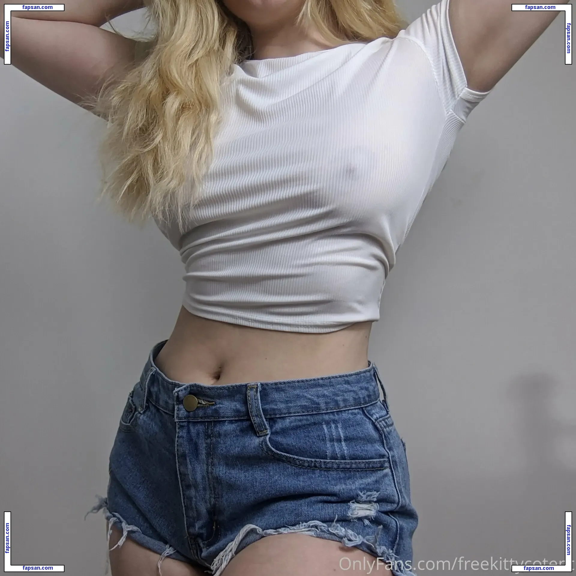 freekittycontent nude photo #0015 from OnlyFans