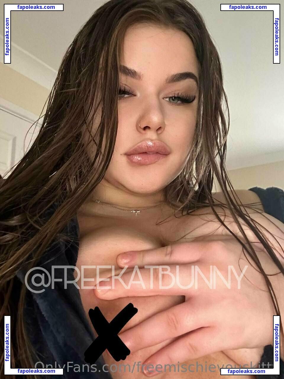 freemischievouskitty / realmischievouskitty nude photo #0116 from OnlyFans