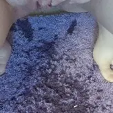 Fullfantasies nude #0007