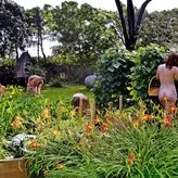 gardener голая #0006