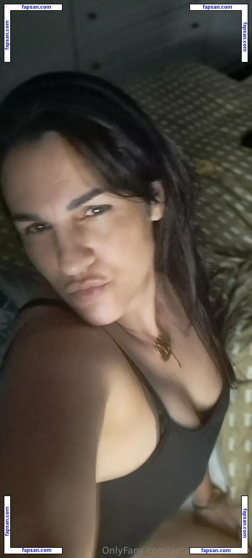 gatamimosa4040 nude photo #0005 from OnlyFans