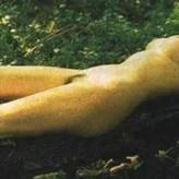 Geri Halliwell nude #0301