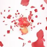 Gia Derza голая #0210