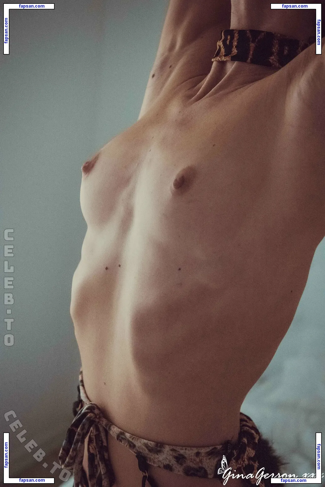 Gina Gerson голая фото #0769 с Онлифанс