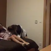 Gina Gerson nude #0784