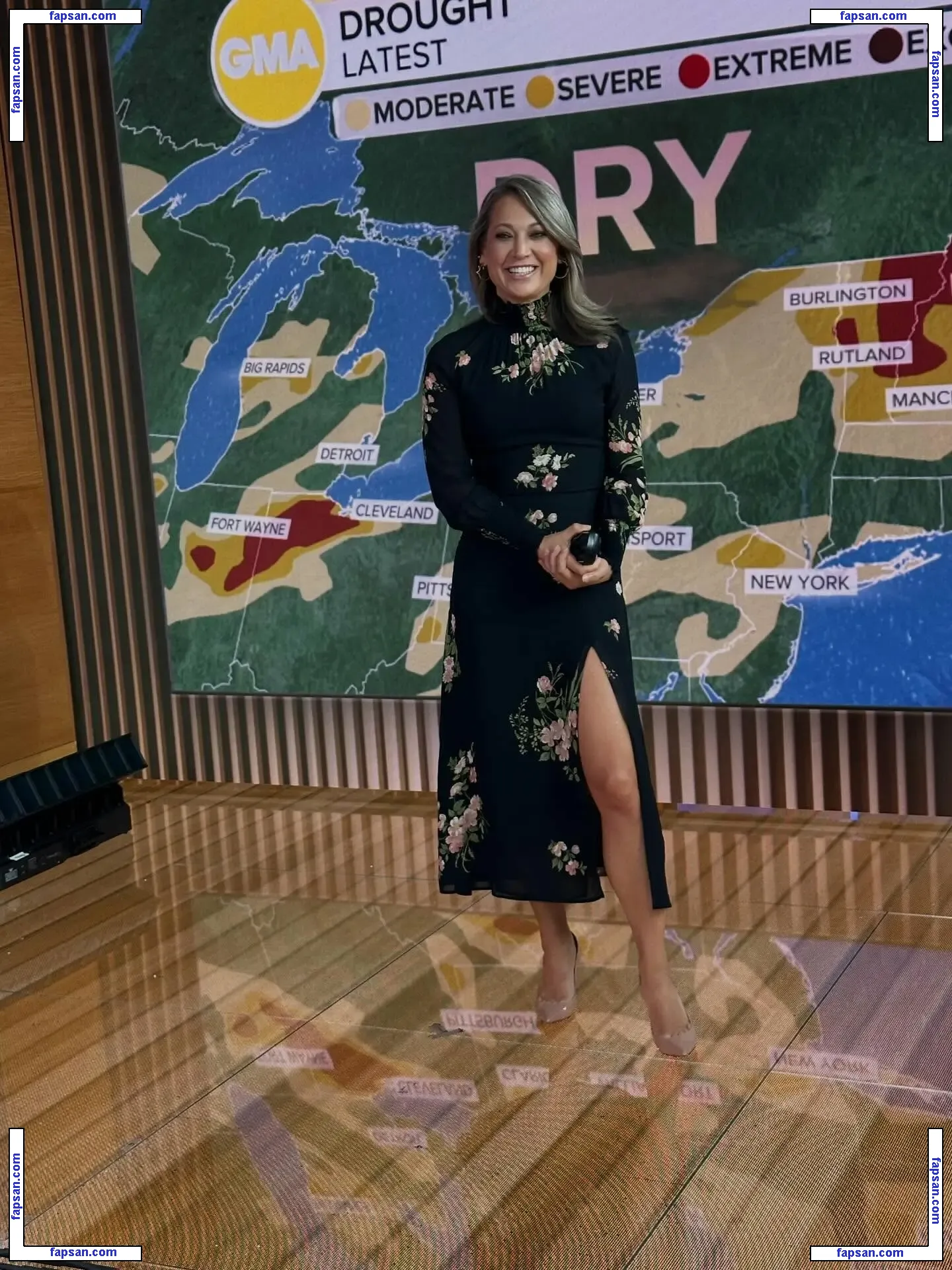 Ginger Zee nude photo #0028 from OnlyFans