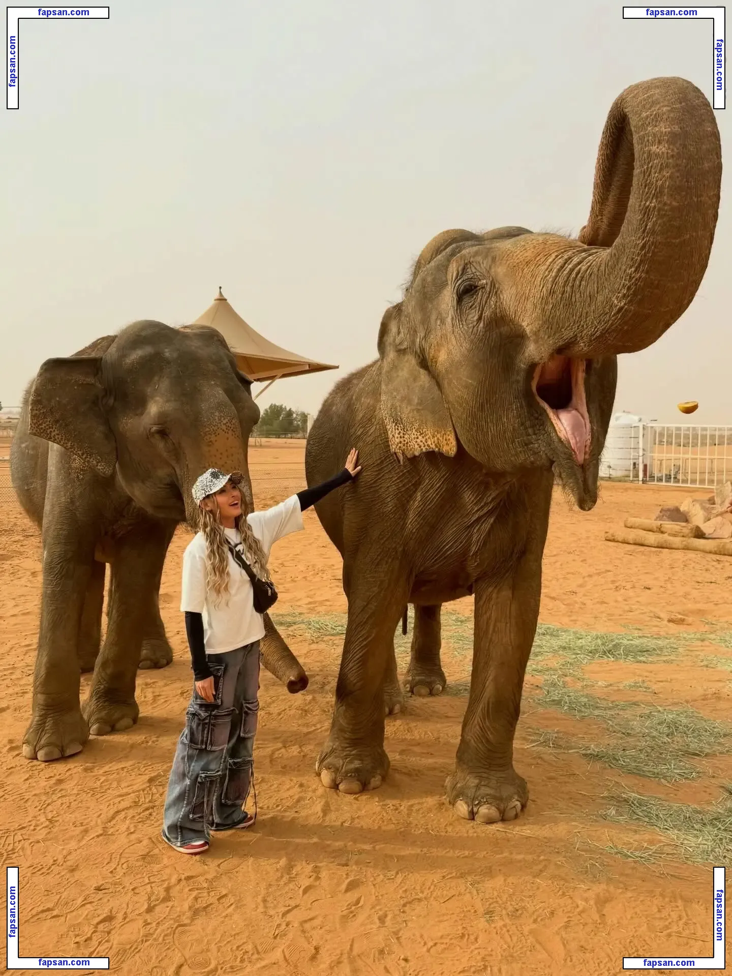 Giulia - Stardom nude photo #0031 from OnlyFans