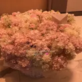 Gloria Sol nude #1322