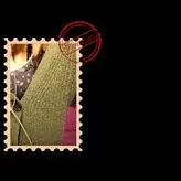 graciecatemakes голая #0008