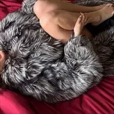 Gwenny2.0 nude #0061