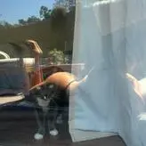 Gwenny2.0 nude #0085