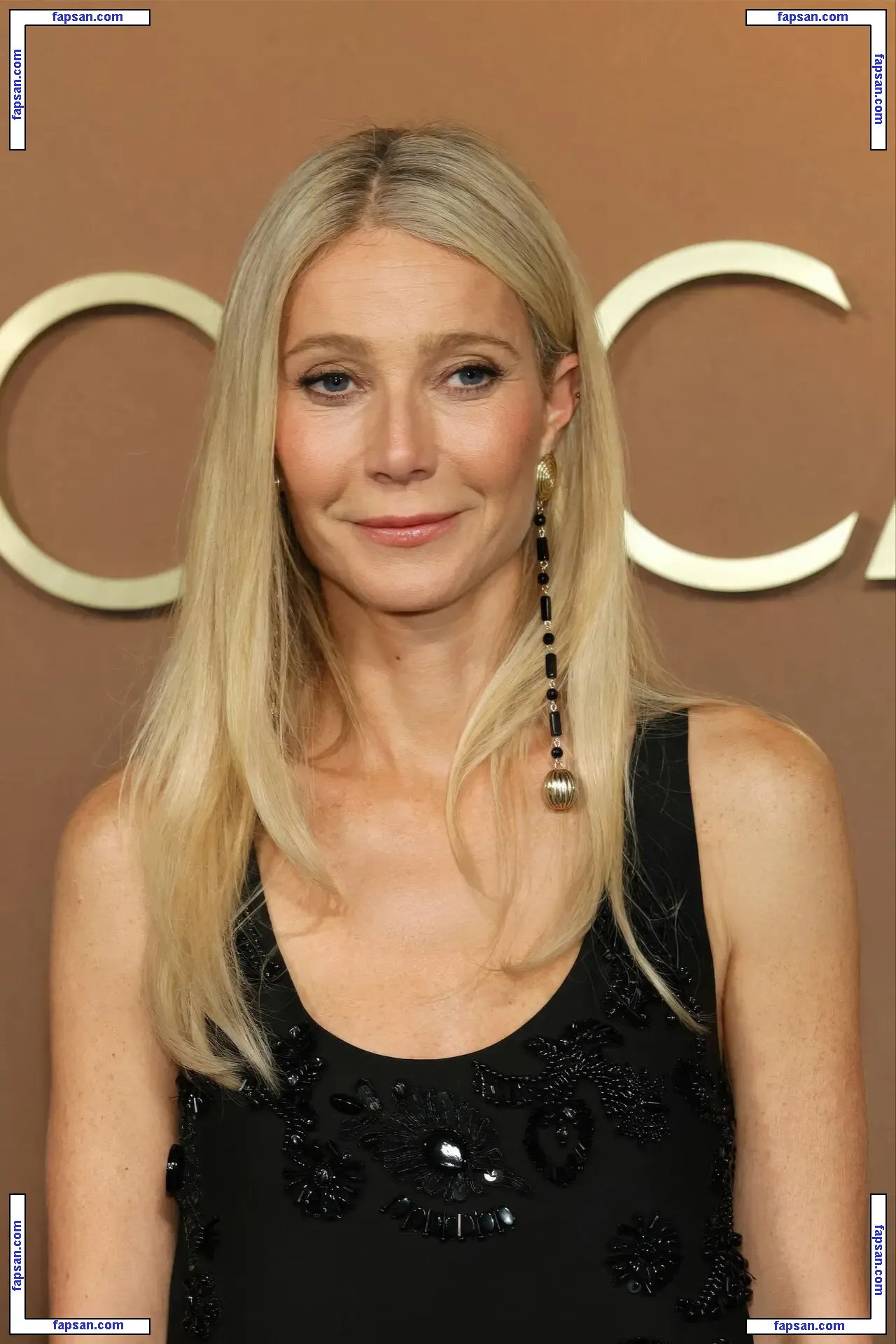 Gwyneth Paltrow nude photo #0950 from OnlyFans