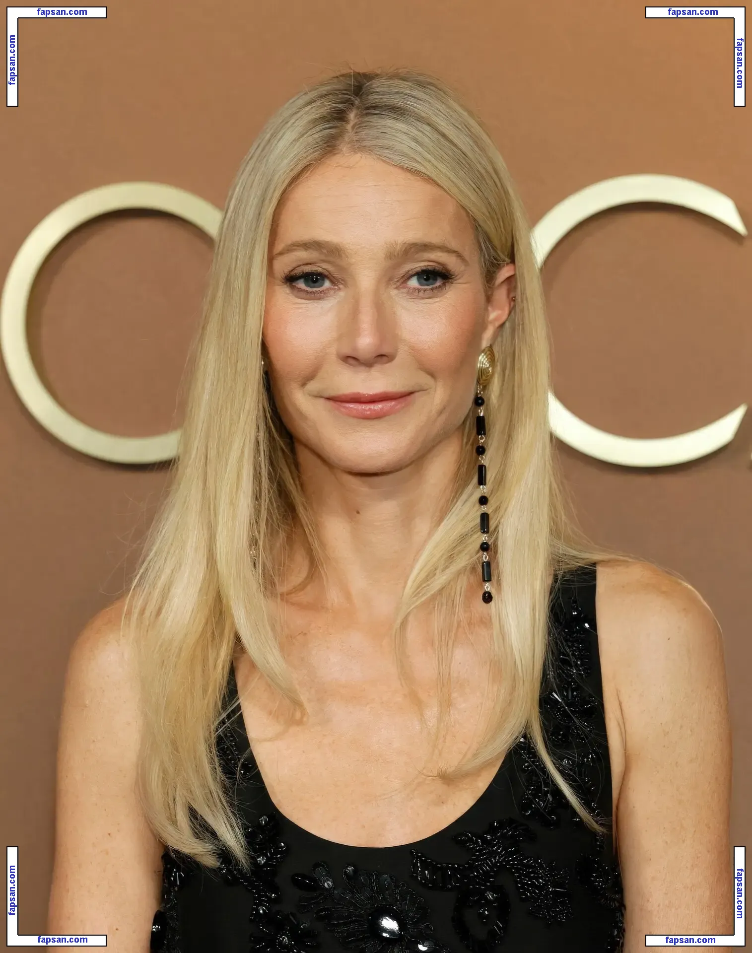 Gwyneth Paltrow nude photo #0971 from OnlyFans