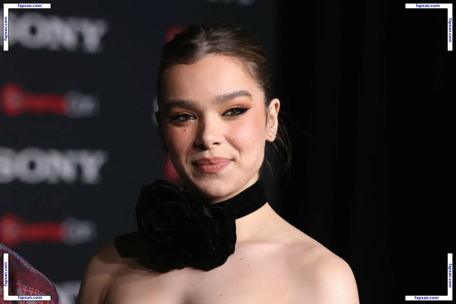 Hailee Steinfeld nude photo #0881 from OnlyFans
