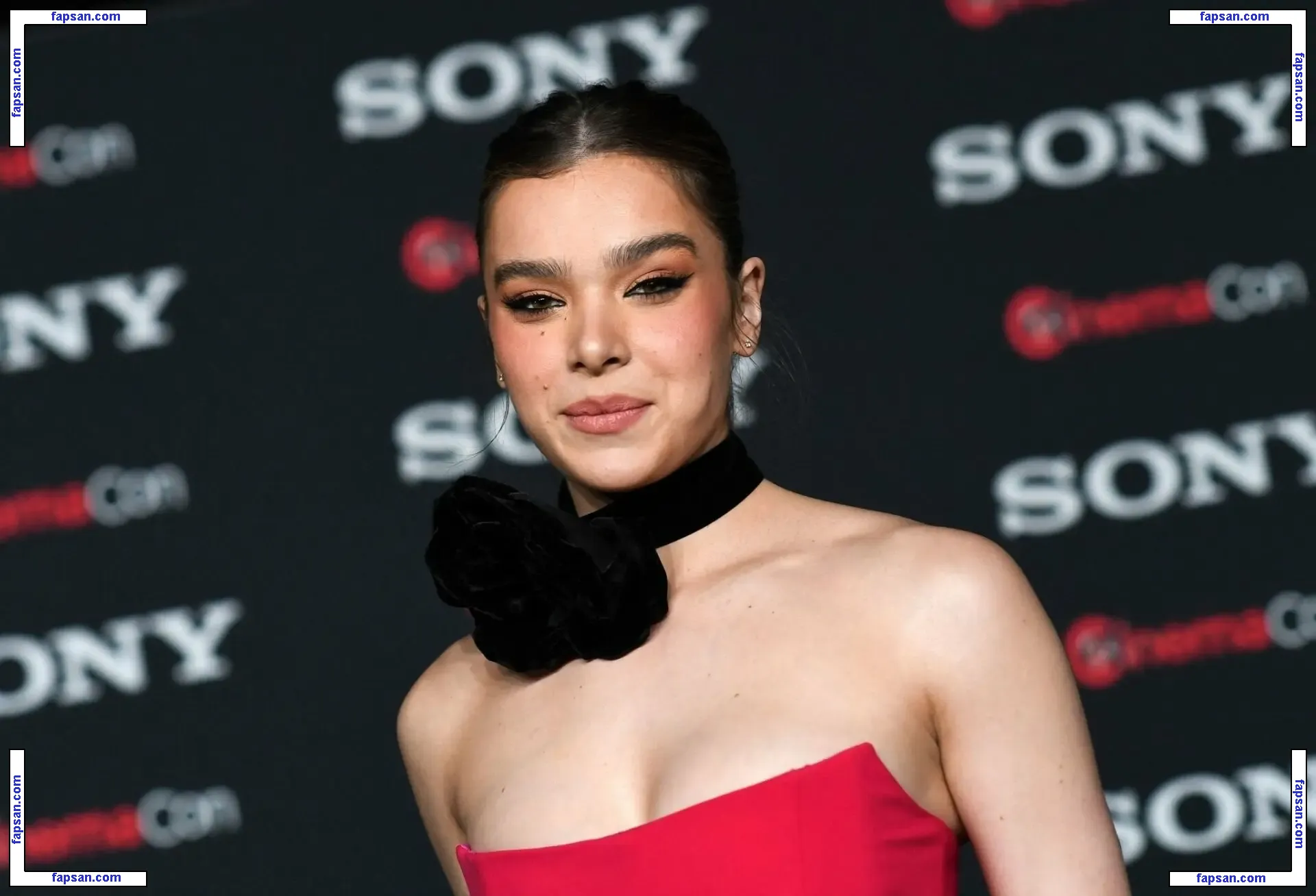 Hailee Steinfeld nude photo #0888 from OnlyFans