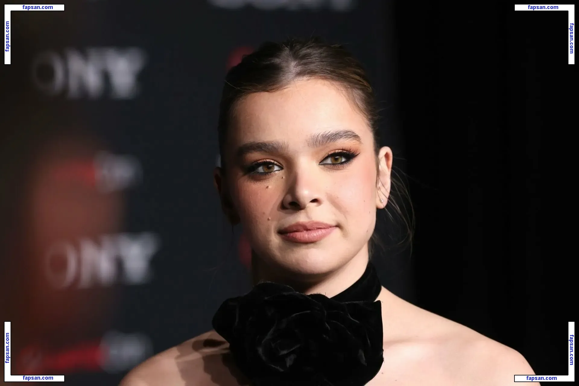 Hailee Steinfeld nude photo #0893 from OnlyFans