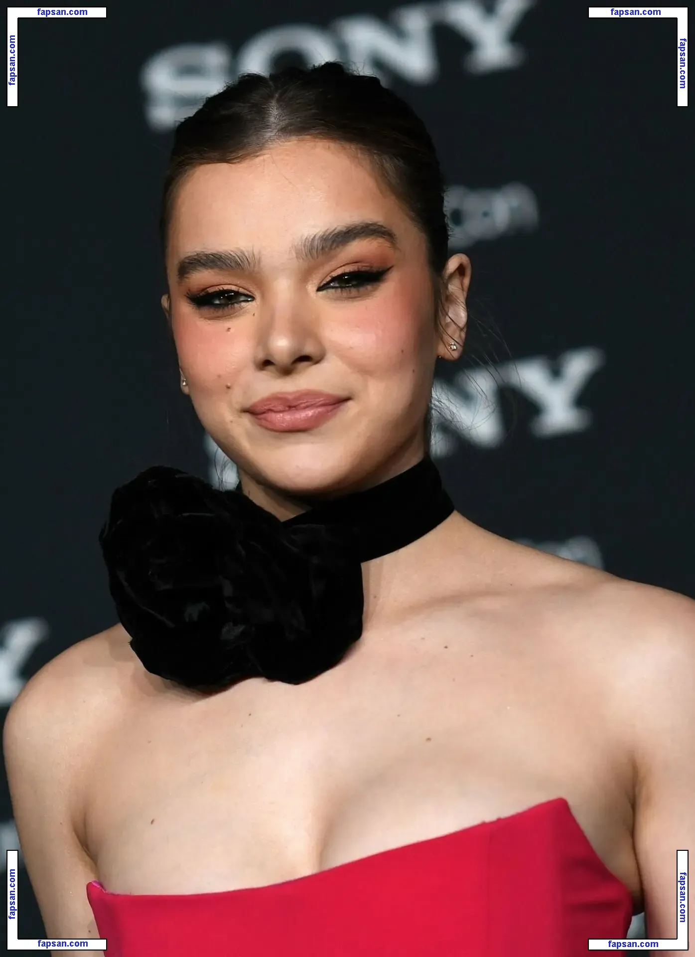 Hailee Steinfeld nude photo #0897 from OnlyFans