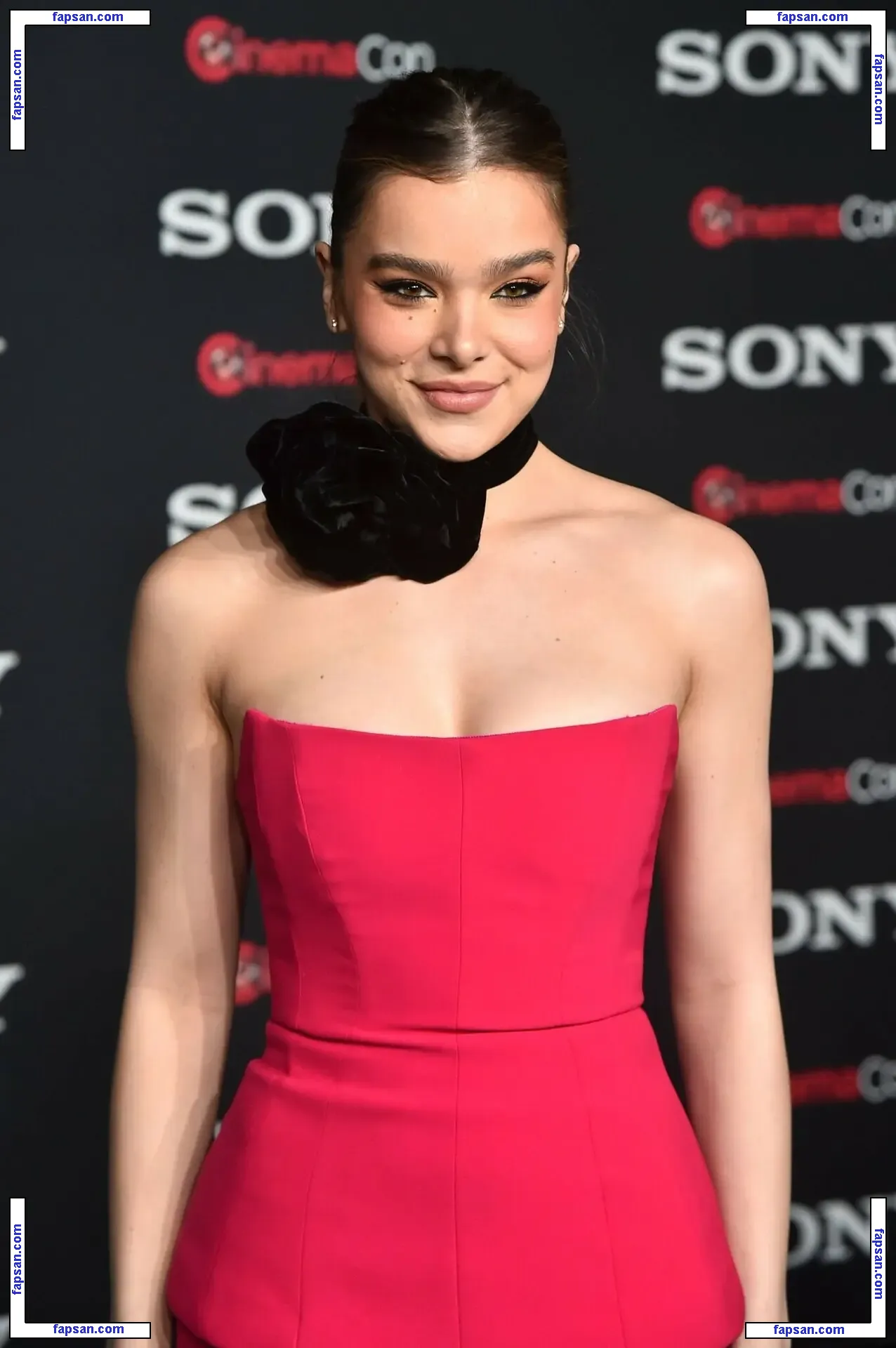 Hailee Steinfeld nude photo #0908 from OnlyFans