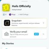 hailsofficially голая #0009