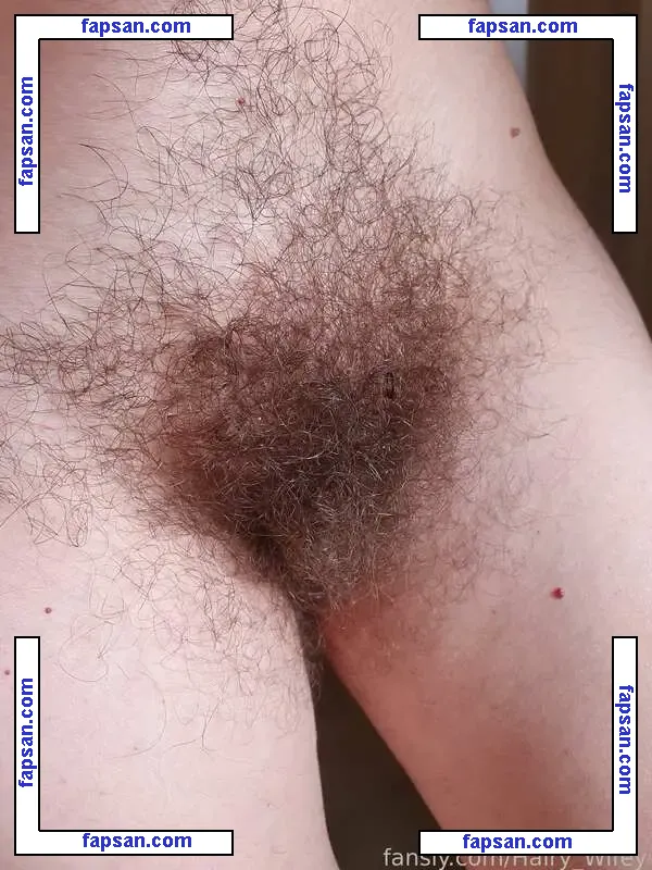 Hairy Wifey nude photo #0003 from OnlyFans