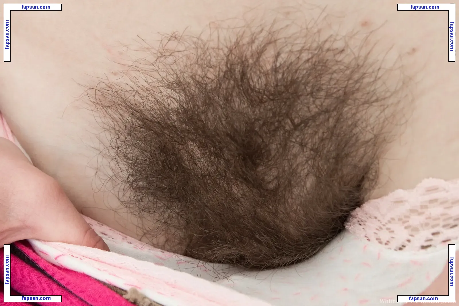 Hairy Women nude photo #0839 from OnlyFans