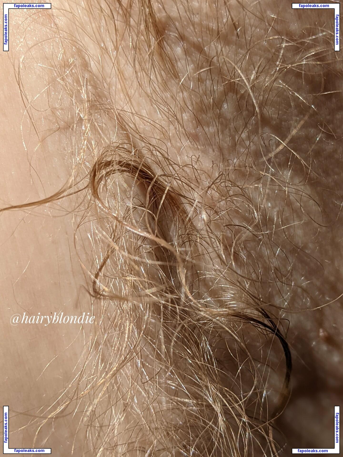 Hairyblondie / hairy_blondie nude photo #0090 from OnlyFans