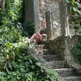 hakutrans nude #0003