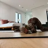 Haley mihm nude #0013