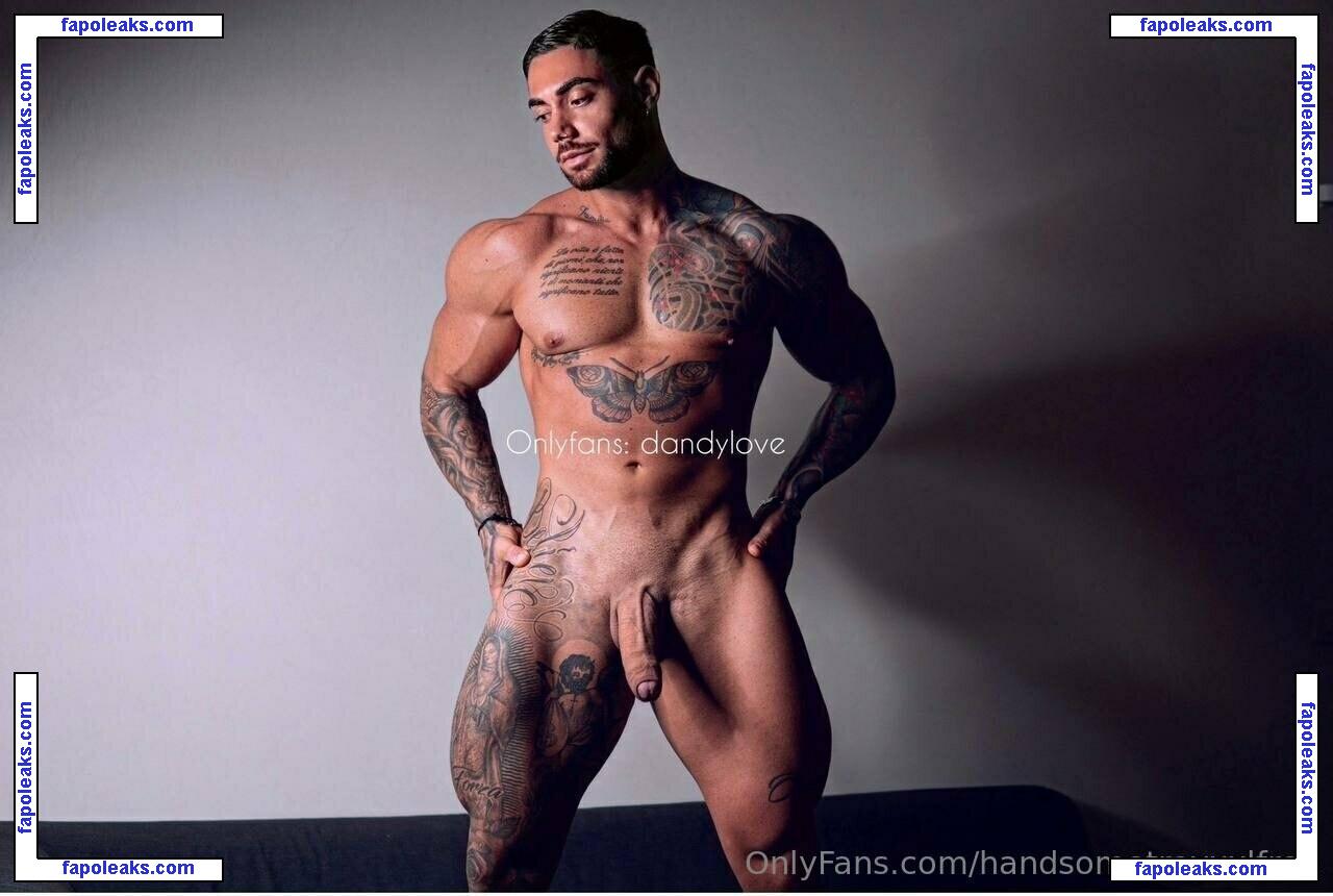 handsometroyxxlfree nude photo #0052 from OnlyFans