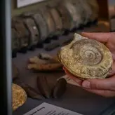 Hannah Peachey голая #0009