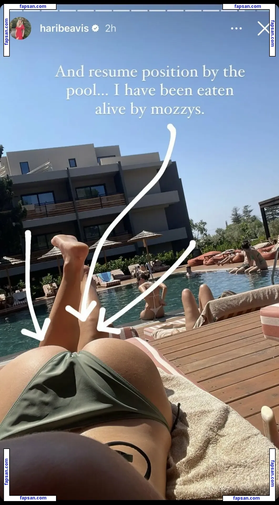 Hari Beavis nude photo #0225 from OnlyFans