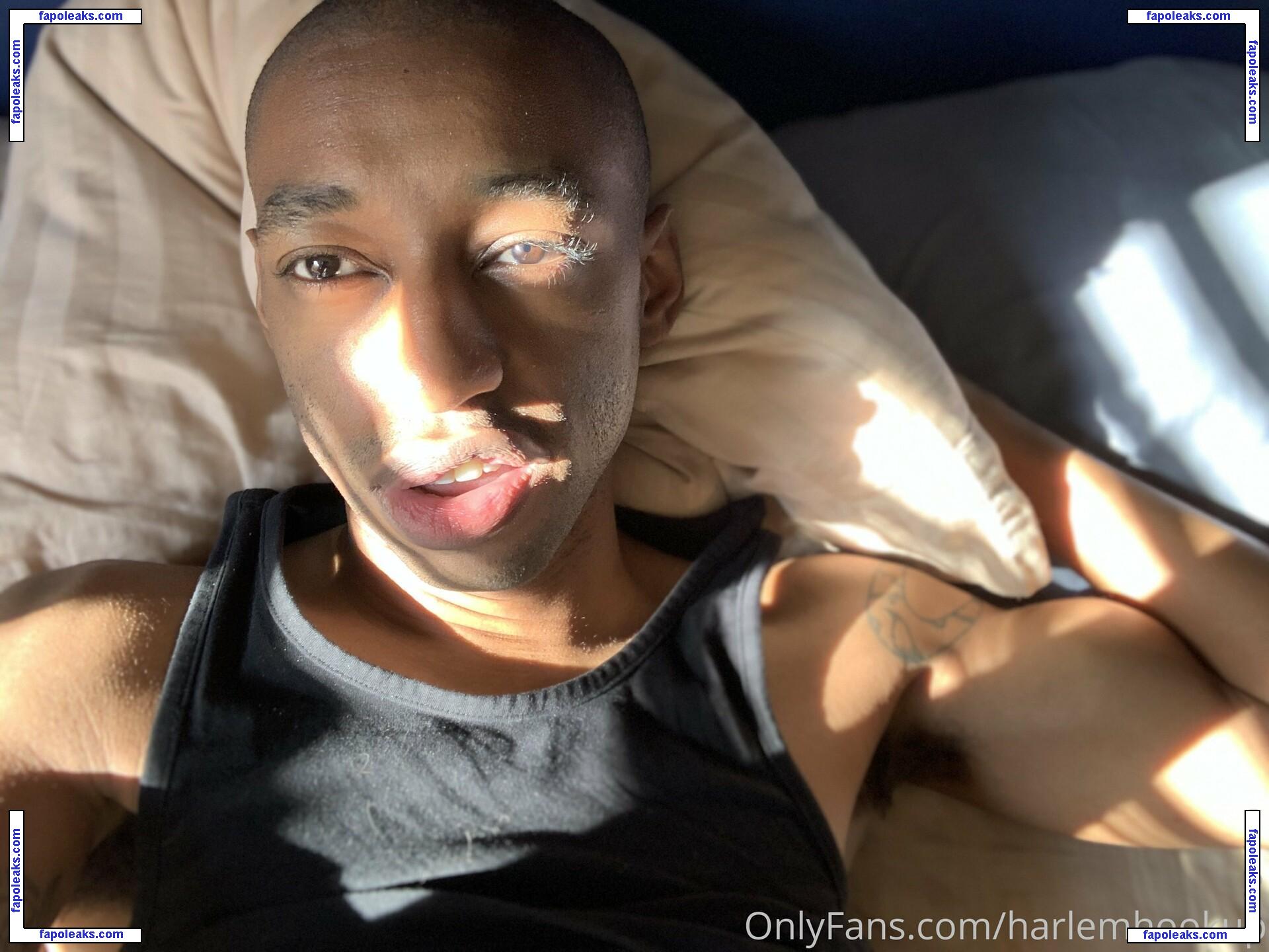 harlemhookup nude photo #0010 from OnlyFans