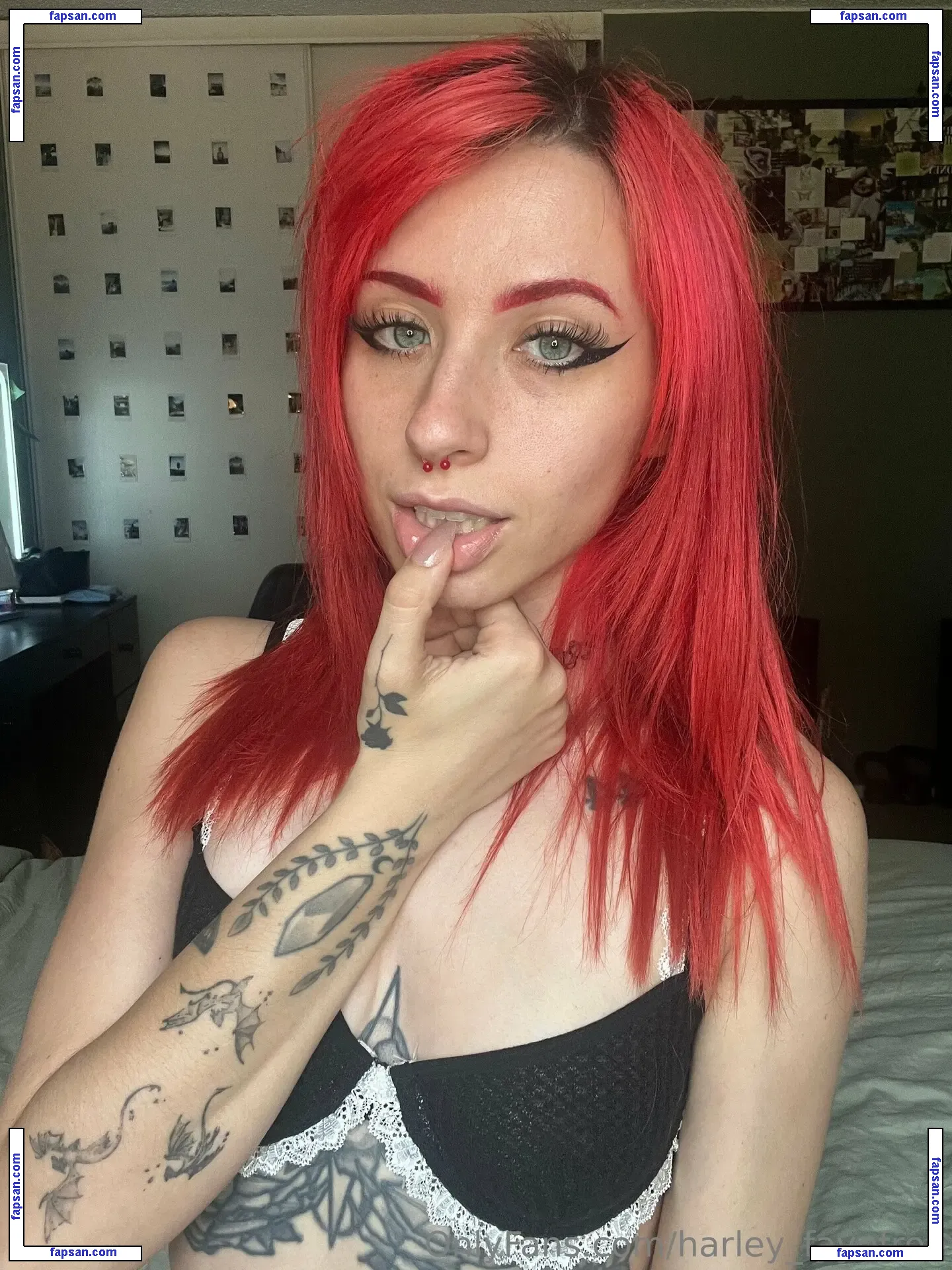harley_fayefree nude photo #0007 from OnlyFans