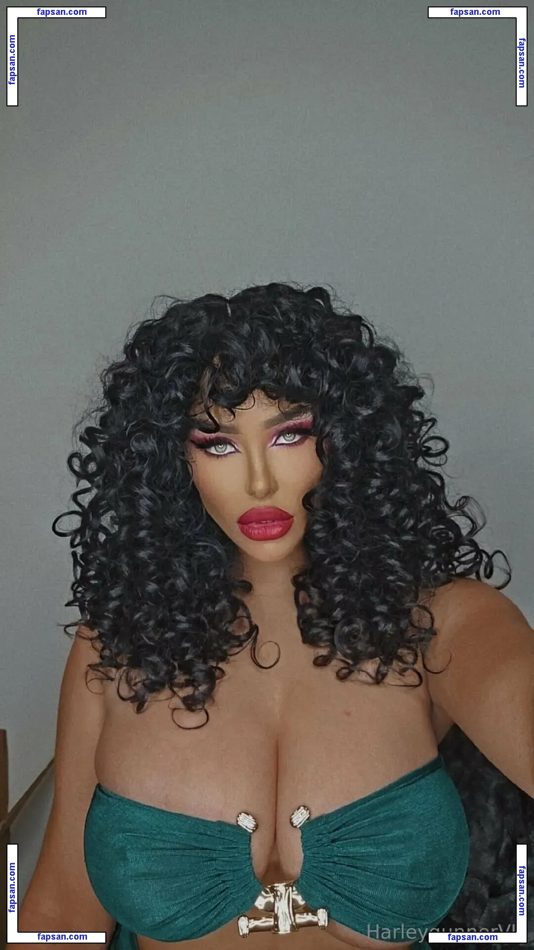 harleygunnervip nude photo #0304 from OnlyFans