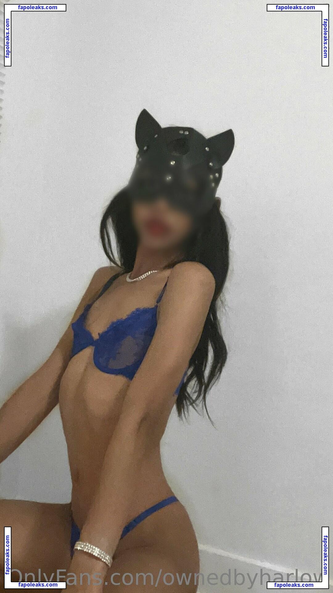 Harlow Laurent / ownedbyharlow nude photo #0008 from OnlyFans