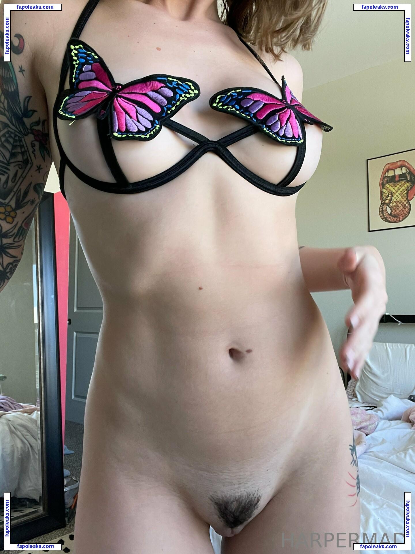 harpermadi_ / madiharpart nude photo #0092 from OnlyFans
