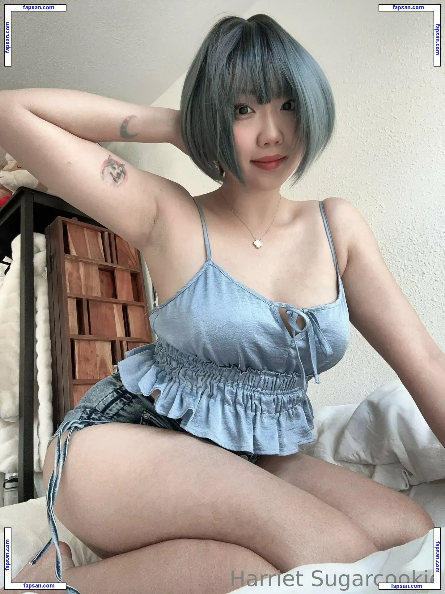 Harriet Sugarcookie nude photo #0412 from OnlyFans