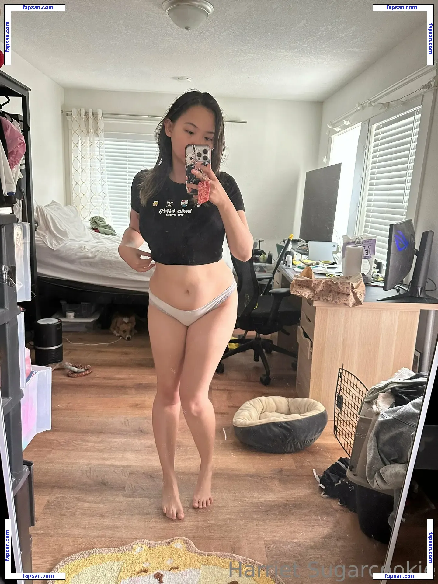 Harriet Sugarcookie nude photo #0428 from OnlyFans