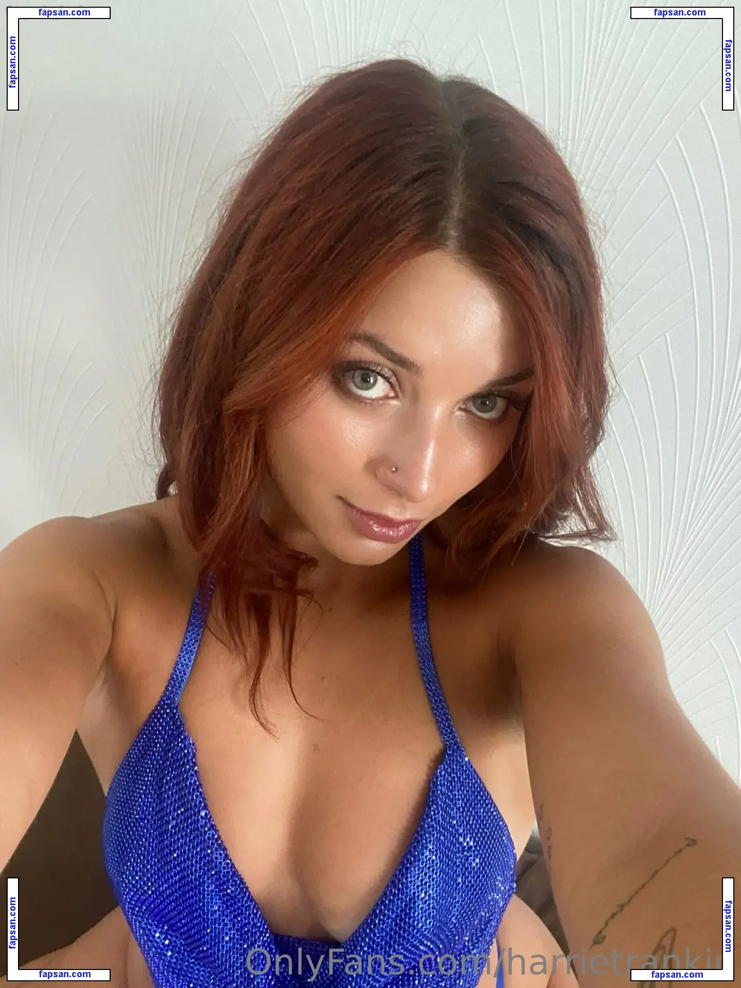 Harrietrankin голая фото #0028 с Онлифанс