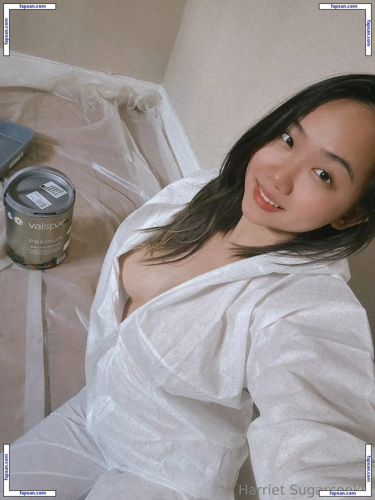 harrietsugarcookie nude photo #0102 from OnlyFans