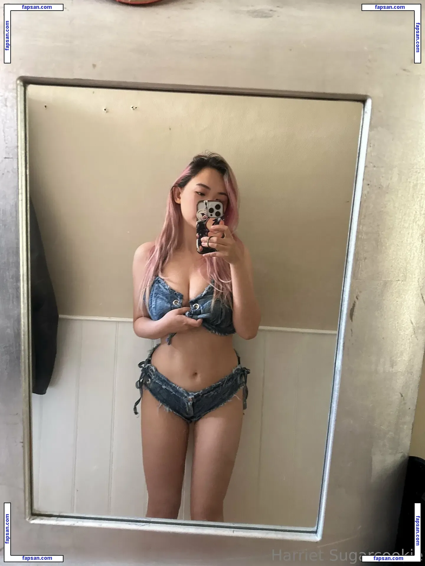 harrietsugarcookie nude photo #0118 from OnlyFans