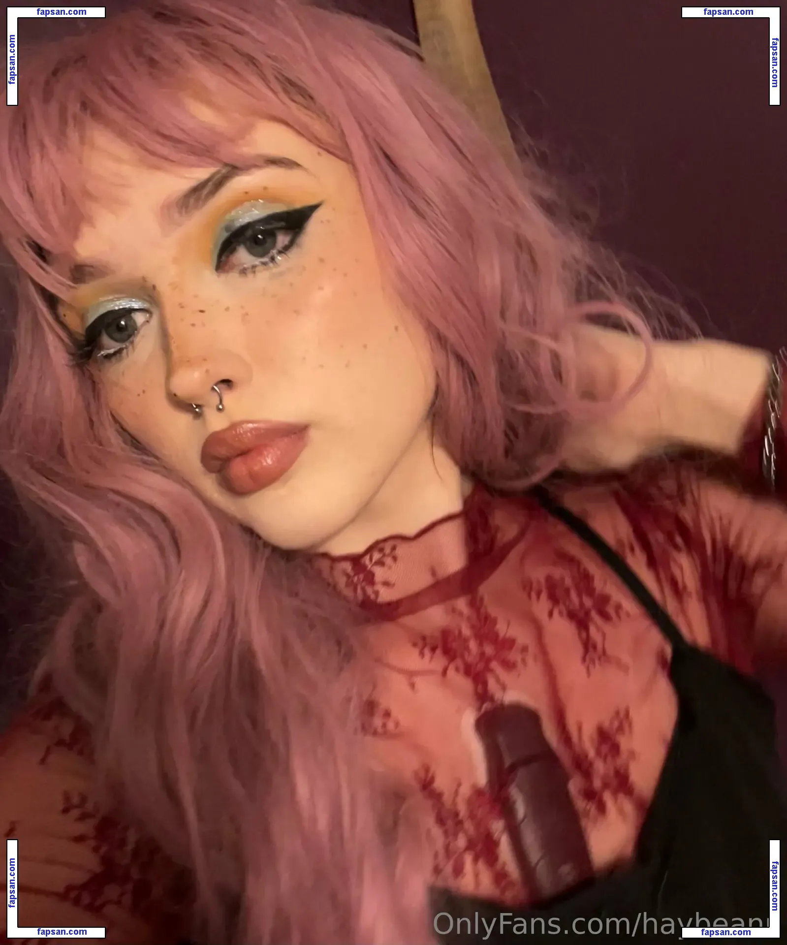 haybeann nude photo #0006 from OnlyFans