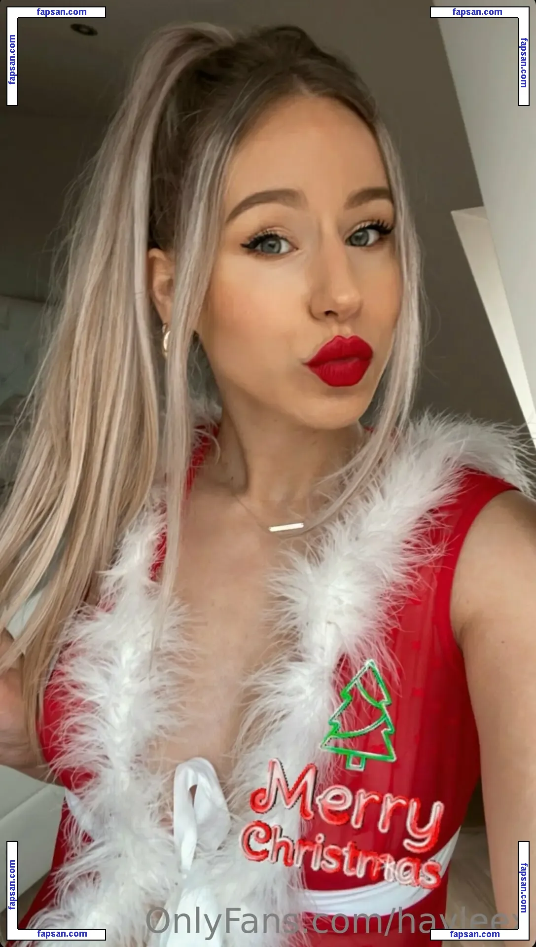 Hayleex nude photo #0120 from OnlyFans
