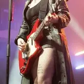 Heather Baron-Gracie голая #0009