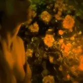 Heidi Klum nude #5231